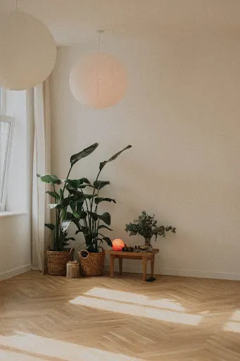 Slowment Studio Jogi